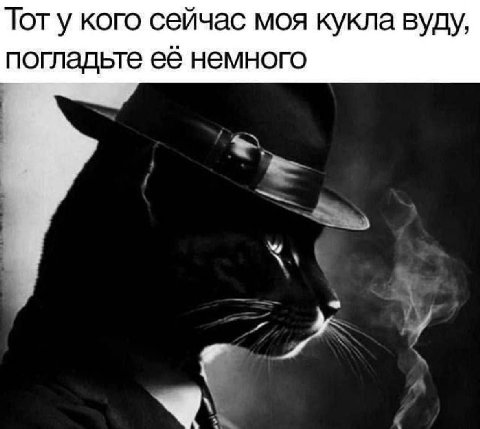 Тот у кого сейчас моя кукла вуду, погладьте её немного