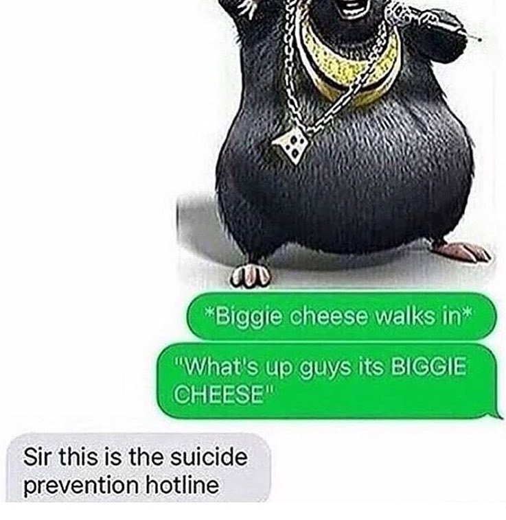 *Biggie cheese Walks Up GUYS Its BIGGIE Sir this is the suicide prevention hotline