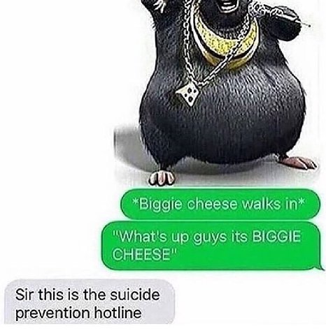 *Biggie cheese Walks Up GUYS Its BIGGIE Sir this is the suicide prevention hotline
