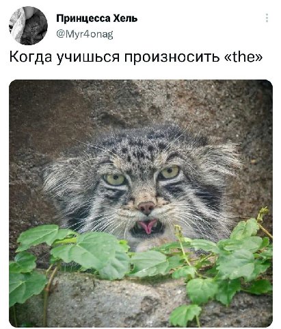 у Принцесса Хель @Myr4onag Когда учишься произносить «the» 4 4