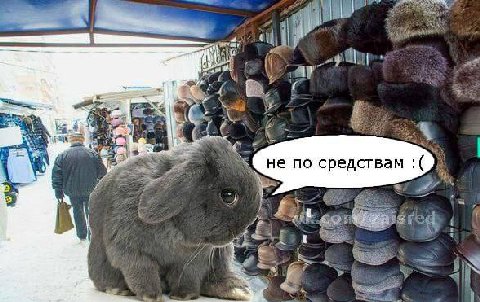 не по средствам