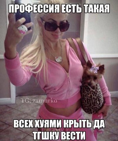 ПРОФЕССИЯ ЕСТЬ ТАКАЯ ВСЕХ ХУЯМИ КРЫТЬ ДА ВЕСТИ