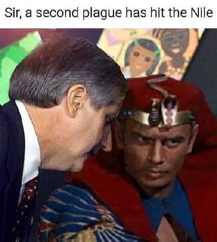 Sir, а second plague has hit the Nile