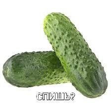 к ели)