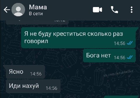 Мама В сети Я не буду креститься сколько раз говорил Бога Нет Ясно 14:56 Иди нахуй 14:56