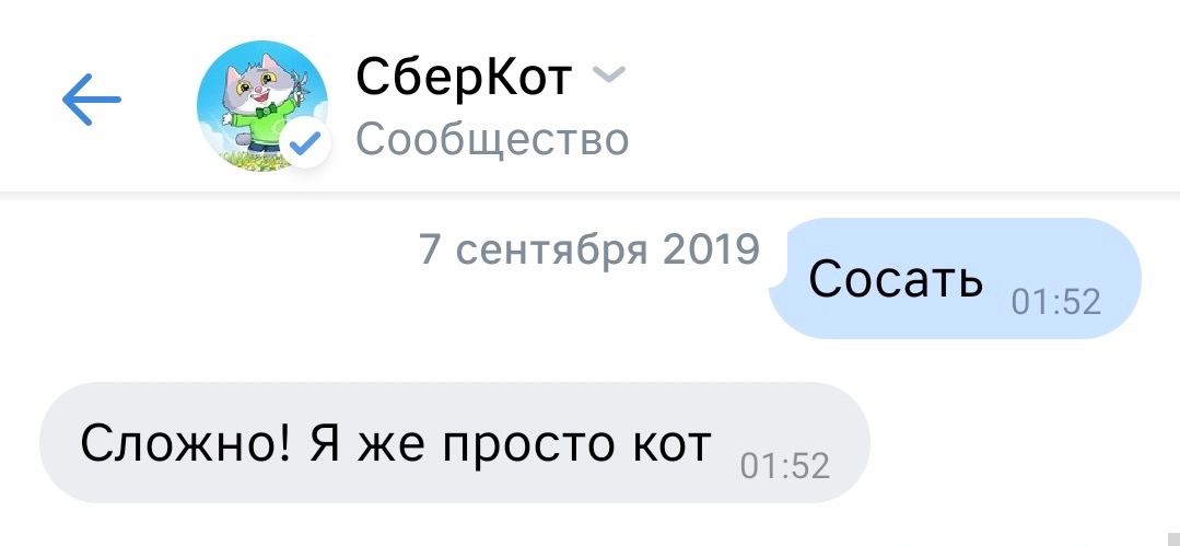 СберКот Сообщество 7 сентября 2019 С осать Сложно! Я же просто кот