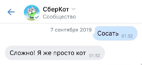 СберКот Сообщество 7 сентября 2019 С осать Сложно! Я же просто кот
