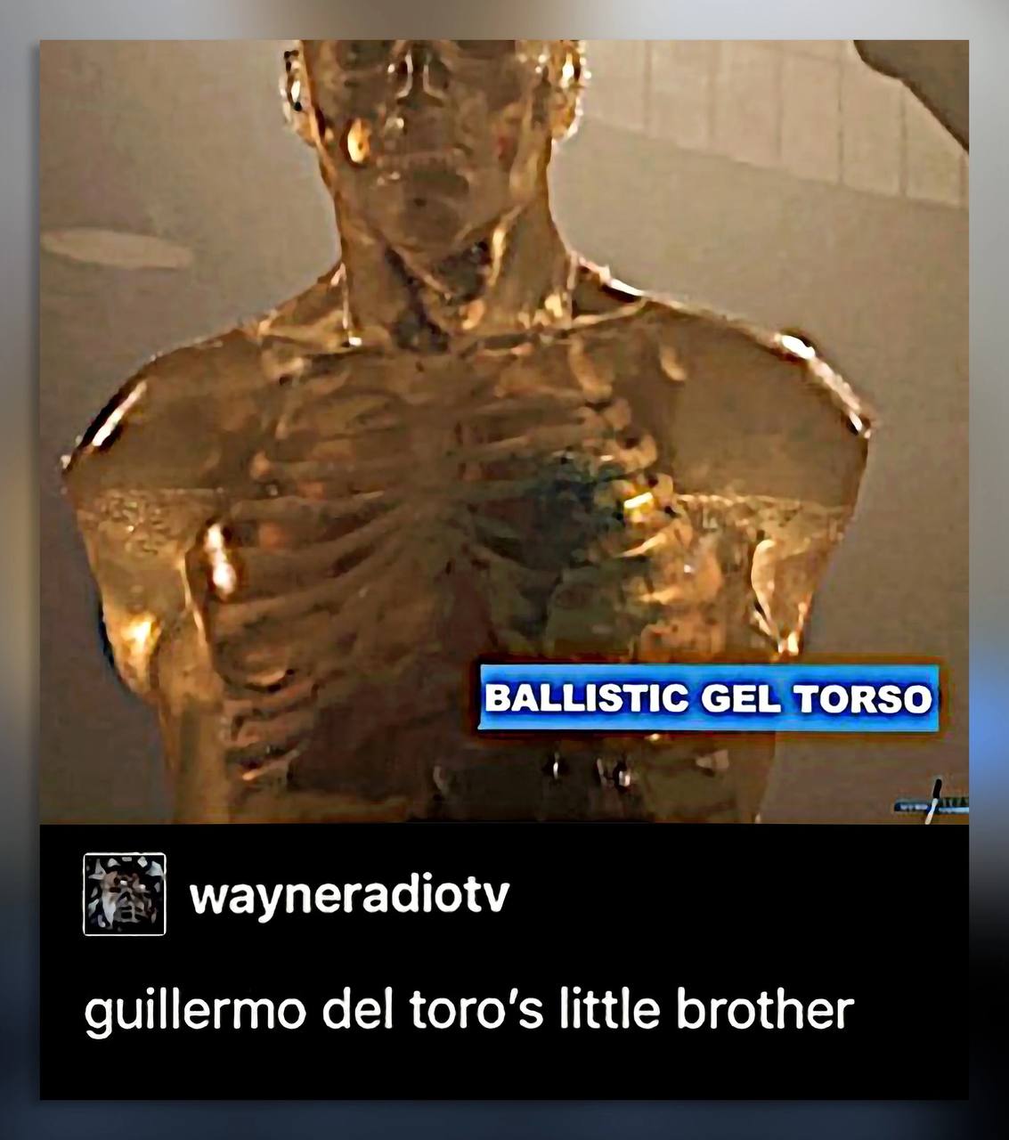 BALLISTIC GEL TORSO wayneradiotv guillermo del toro’s little brother