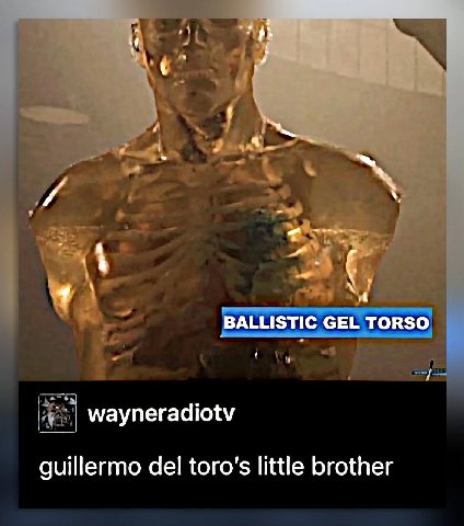 BALLISTIC GEL TORSO wayneradiotv guillermo del toro’s little brother