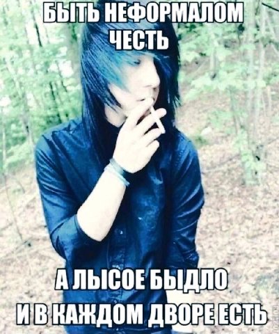 БЫ ФОРМАЛО ЧЕСТЬ БЫДЛО КАЖДОМ ДВОРЕ