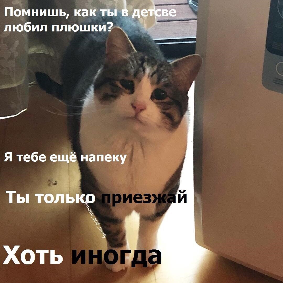 Помнишь, как ты В детсве любил плюшки? Я тебе ещё напеку Ты только Хоть