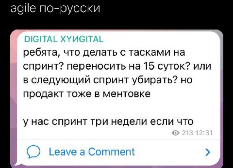 agile по-русски IIGITAL XYUGITAL ребята, что делать с тасками на спринт? переносить на 15 суток? или в следующий спринт убирать? но продакт тоже в ментовке у нас спринт три недели если что у Leave а C