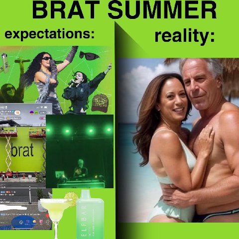 BRAT SUMMER expectations: reality: i Hit rat ment