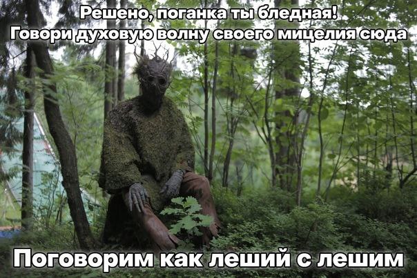 ‘поганка ГовериУХо вую волну своего у Поговорим как лешии с лешим