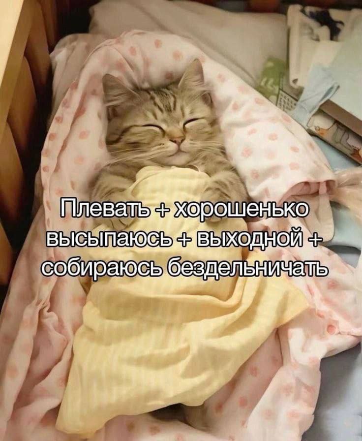 собира
