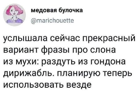 медовая булочка @marichouette услышала сейчас прекрасный вариант фразы про слона из мухи: раздуть из гондона дирижабль. планирую теперь использовать везде