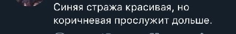 Синяя стража красивая, но коричневая прослужит дольше.