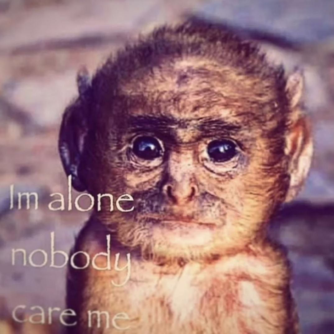 alone 4 TBR,