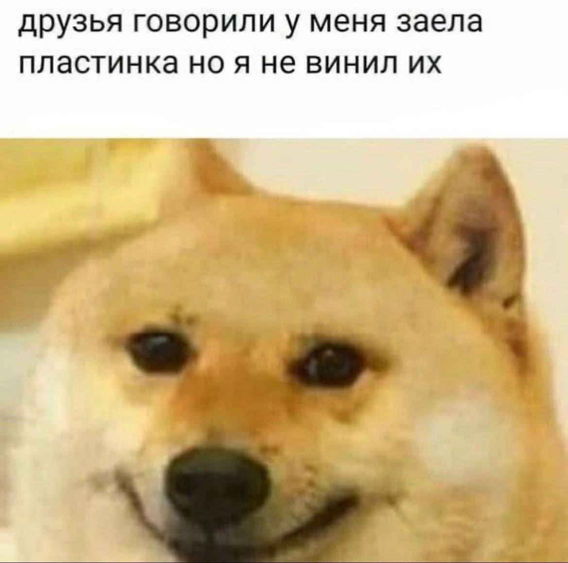 друзья говорили у меня заела пластинка ноя не винил