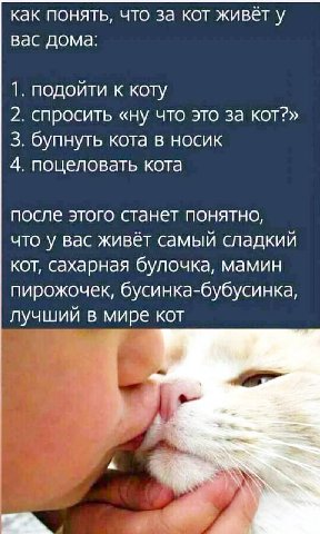 как понять, что за кот живёт у вас дома: 1. подойти к коту 2. спросить «ну что это за кот?» 3. бупнуть кота в носик 4. поцеловать кота после этого станет понятно, что у вас живёт самый сладкий кот, са