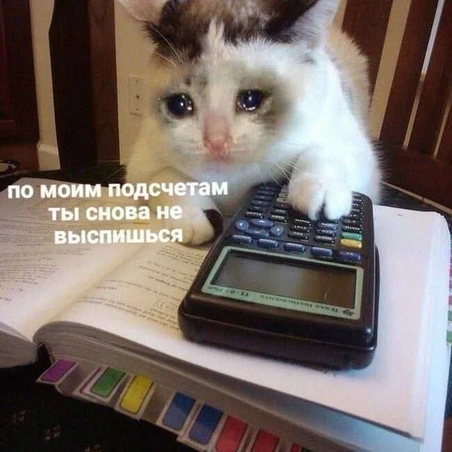 по моим подсчетам ты снова неё выс