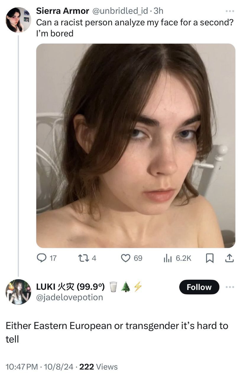 ‘a Sierra Armor @иприа(еа 14 я Can а racist person analyze my face for a second? bored 17 69 LUKI (99.9°) A @jadelovepotion Either Eastern European or transgender it’s hard to tell 10/8/24 222 Views