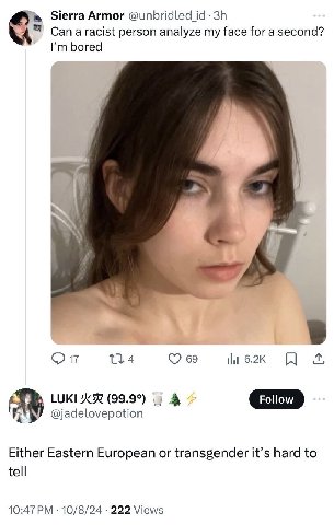 ‘a Sierra Armor @иприа(еа 14 я Can а racist person analyze my face for a second? bored 17 69 LUKI (99.9°) A @jadelovepotion Either Eastern European or transgender it’s hard to tell 10/8/24 222 Views