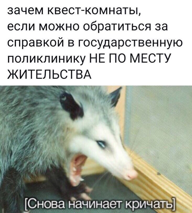 зачем квест-комнаты если можно обратиться за справкои в государственную поликлинику НЕ ПО МЕСТУ ЖИТЕЛЬСТВА [CHOBa кричатв]