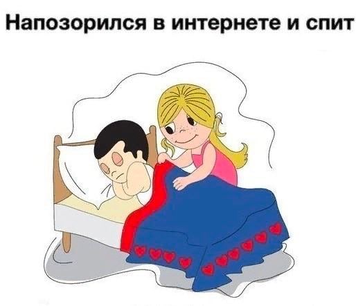 Напозорился в интернете и спит у cyl