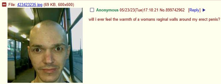 File: 423423235 jpg (69 Anonymous 05/23/23(Tue)17:18:21 No.899742962 [Reply] will i ever feel the warmth of a womans vaginal walls around my erect penis?