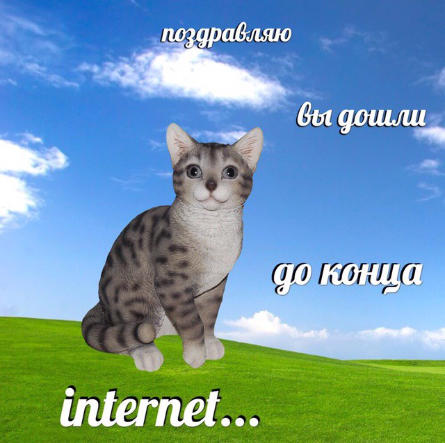 поздравляю 00 конца