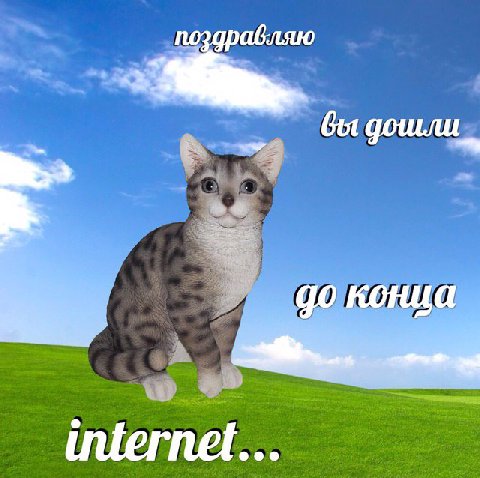 поздравляю 00 конца