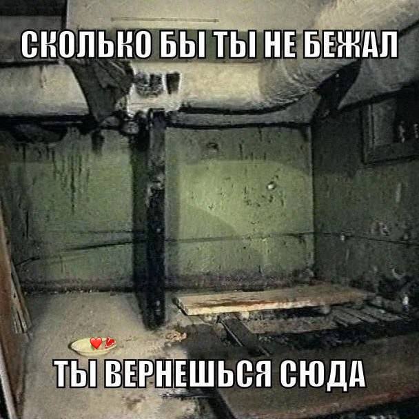 БЫ ТЫ НЕБЕЖАЛ Thi ВЕРНЕШЬСЯ СЮДА