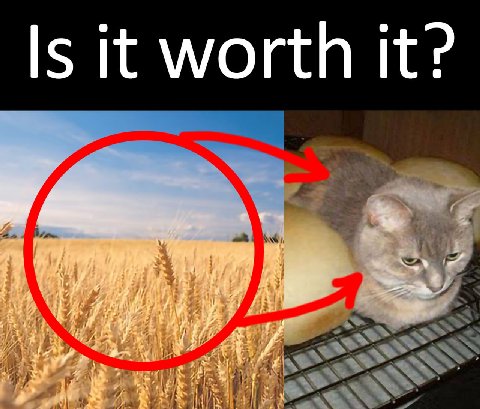 Is it worth it? 4