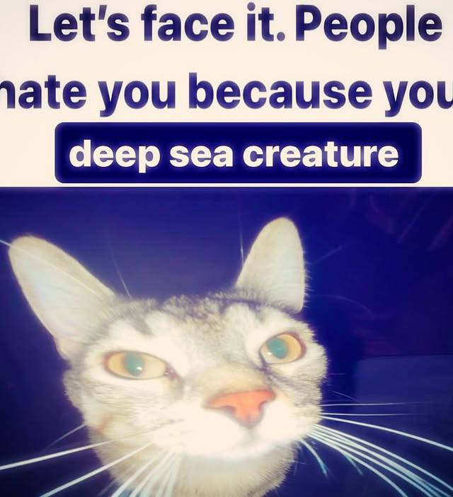 Let's face it. People ate you because deep sea creature