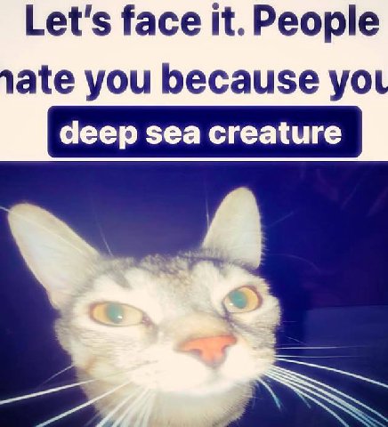 Let's face it. People ate you because deep sea creature
