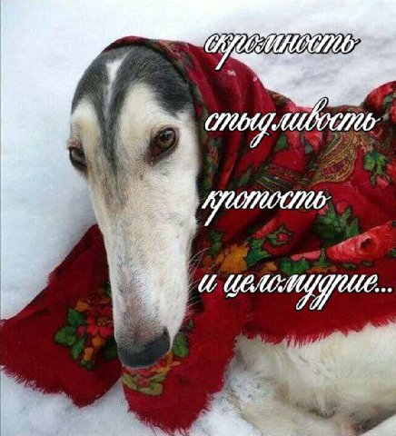 4 at Я