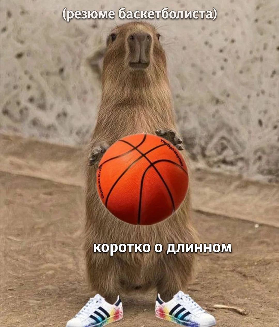 (резюме баскетболиста) коротко о длинном