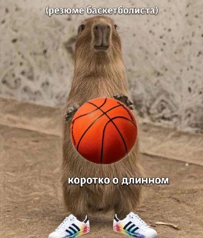(резюме баскетболиста) коротко о длинном