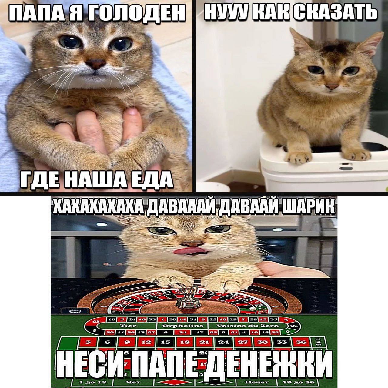 ДЕН СКАЗАТЬ 7 АША AABAAK а 5