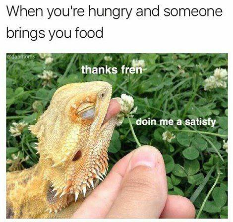 When you're hungry and someone brings you food frene me