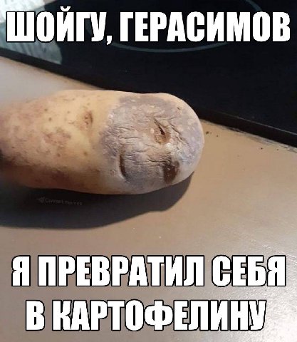 ШОЙГУ, ГЕРАСИМОВ Я ПРЕВРАТИЛ СЕБЯ В КАРТОФЕЛИНУ