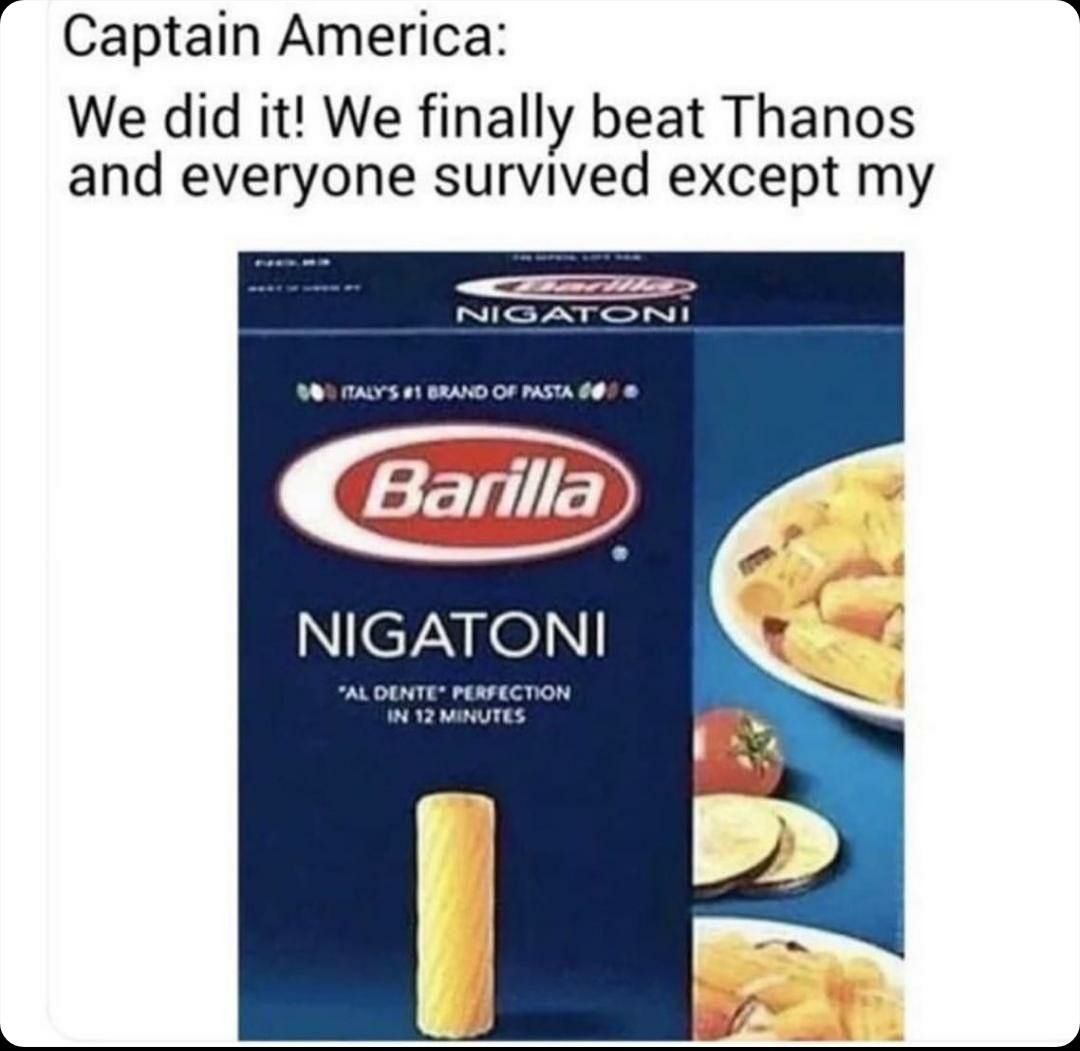 Captain America We did it! We finall beat Thanos and everyone survived except my LAND OF NIGATONI