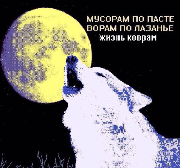 МУСОРАМ ПО ПАСТЕ ВОРАМ ПО ЛАЗАНЬЕ жизнь коврам AVY,