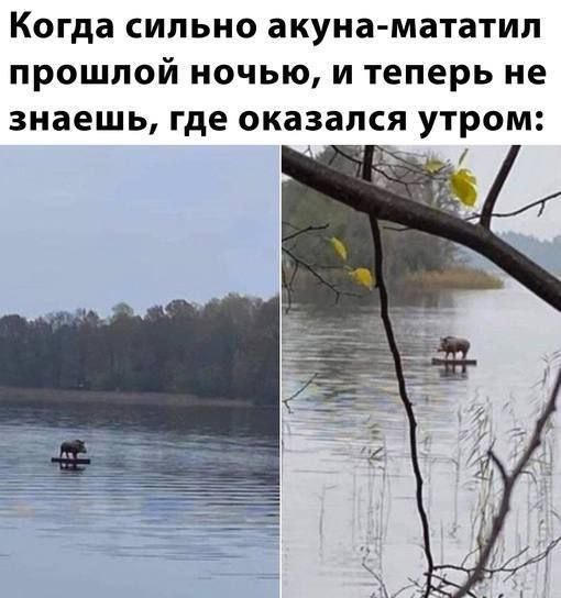Когда сильно акуна-мататил прошлой ночью, и теперь не знаешь, где оказался утром: if