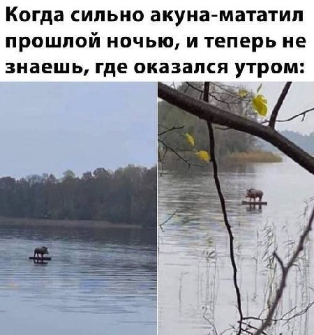 Когда сильно акуна-мататил прошлой ночью, и теперь не знаешь, где оказался утром: if