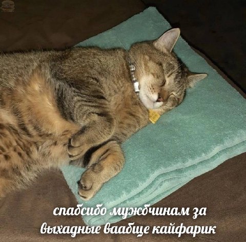A чинам за баадше кайфарик