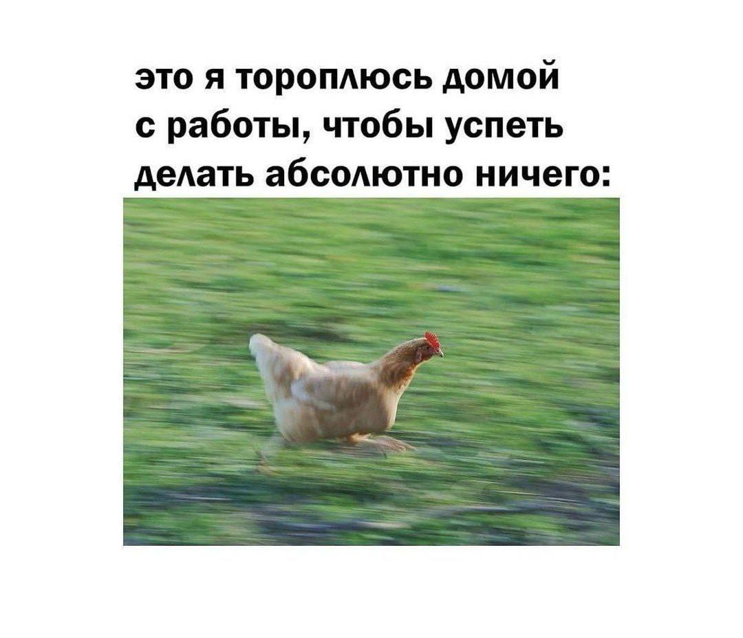 это я тороплюсь домой с работы, чтобы успеть делать абсолютно ничего: