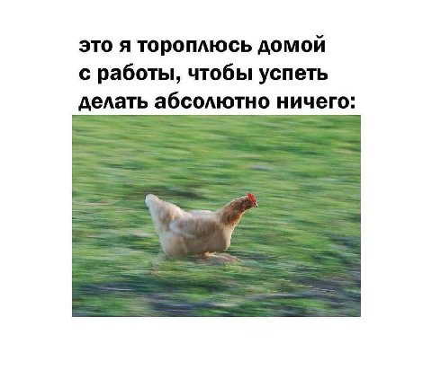 это я тороплюсь домой с работы, чтобы успеть делать абсолютно ничего: