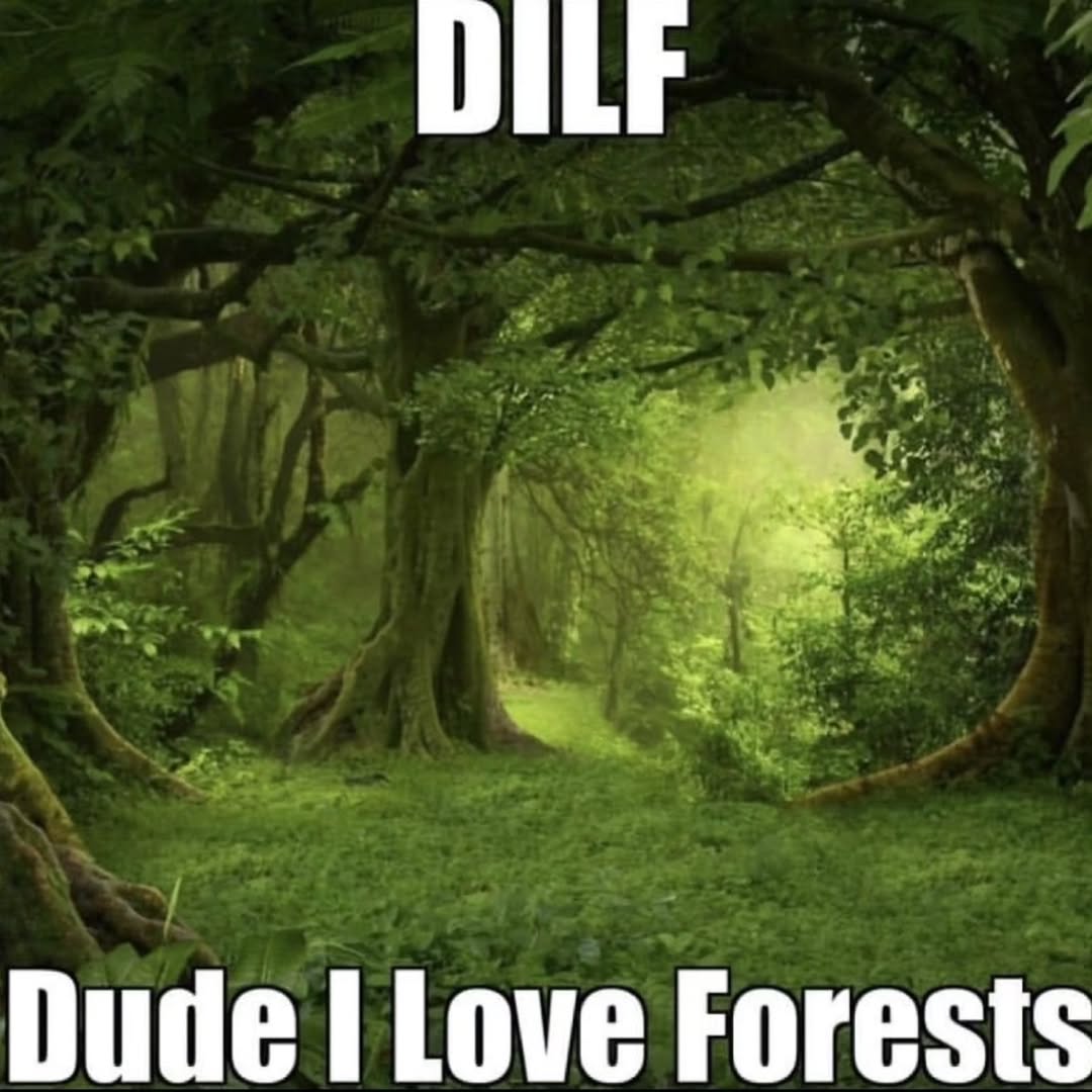 Dude Love Forests